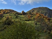 44 ...lasciato, senza volerlo, il sent. 506, sono sceso per sentierino-scorciatoia da questi prati a raggiungere il sentiero di salita per il Monte Zucco 